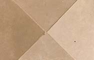 TAOS_TAUPE